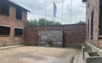 Foto nr 103