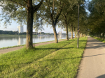 Foto nr 161