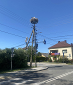 Foto nr 74