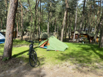 Foto nr 7